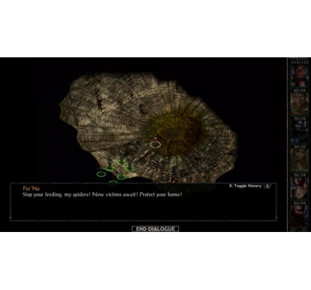 Der Kampf gegen die Spinnenlady