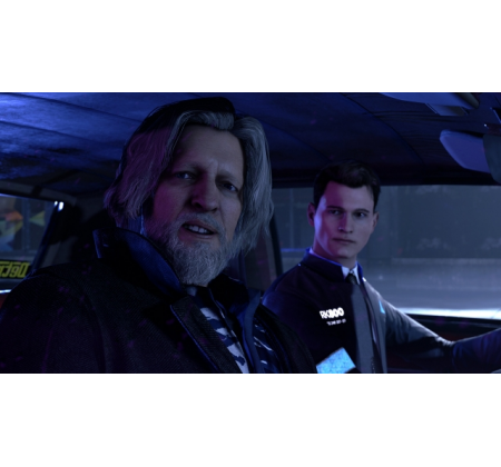 Partner wider Willen