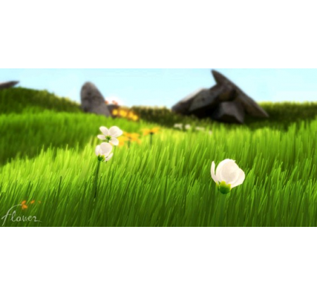 Wie eine Blume im Wind