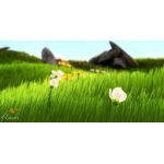 Wie eine Blume im Wind